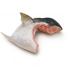 魚鮫(油甘)抄碼/KG