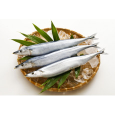 日本秋刀魚60庄7.5KG/箱